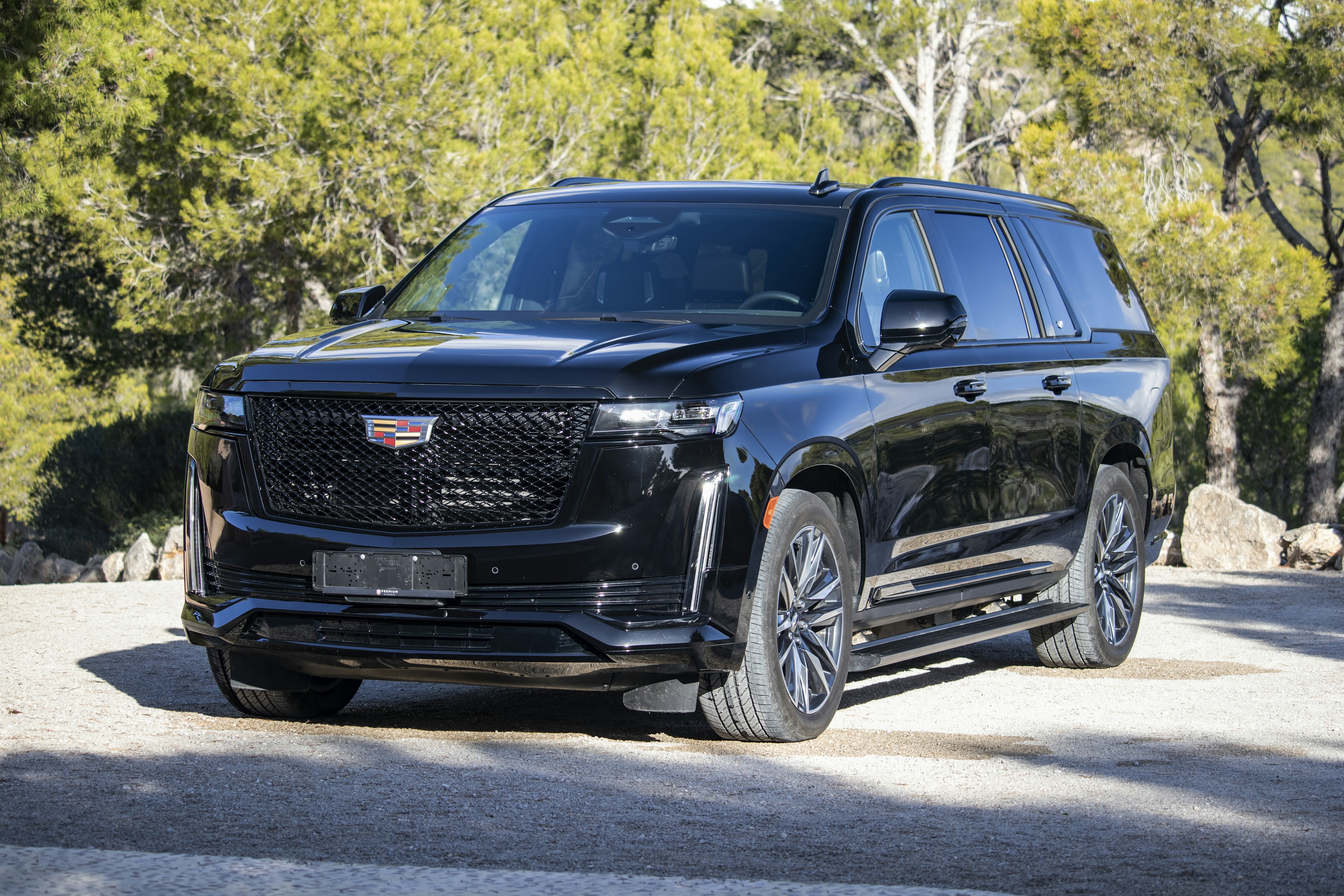 Cadillac Detail