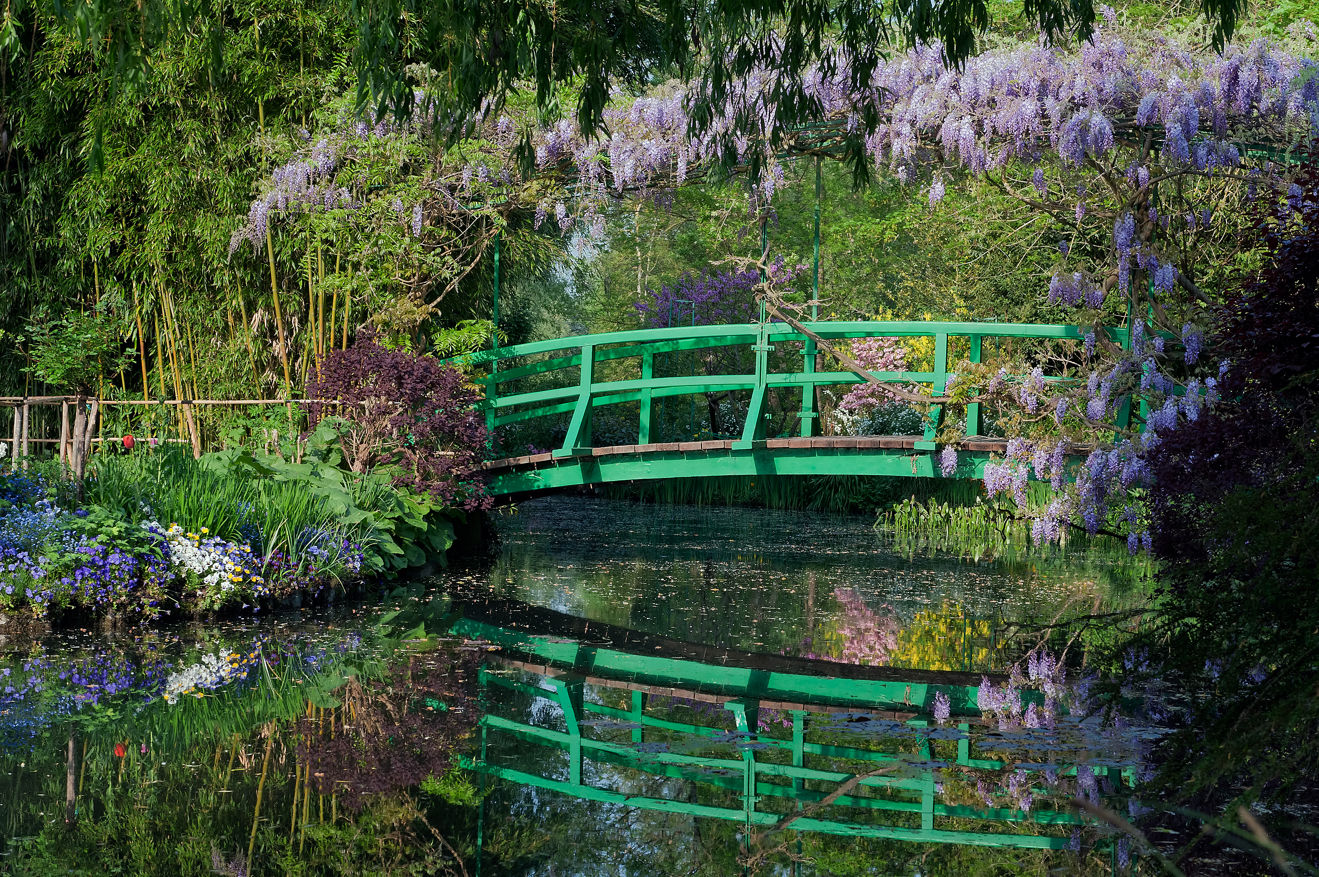 Monet's Japanese Bridge