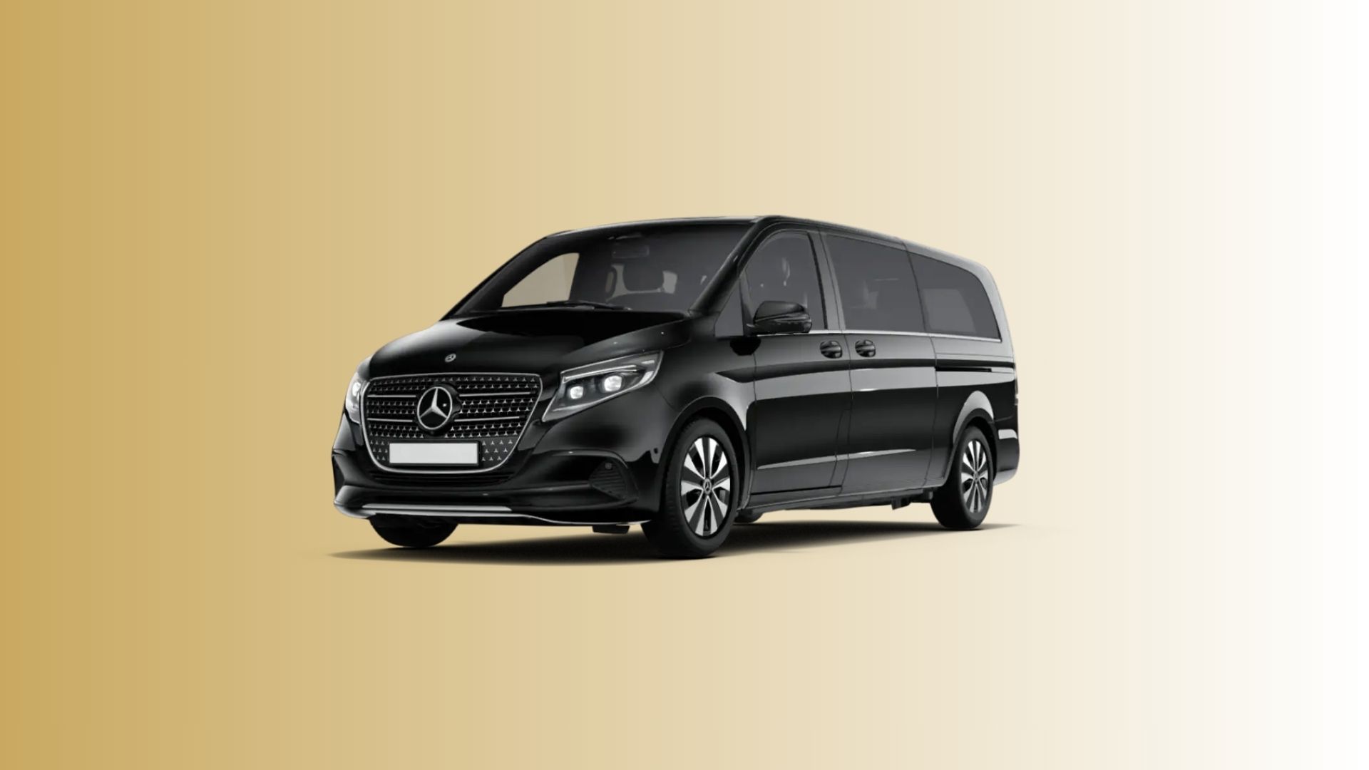 Business Van Parisian Drives